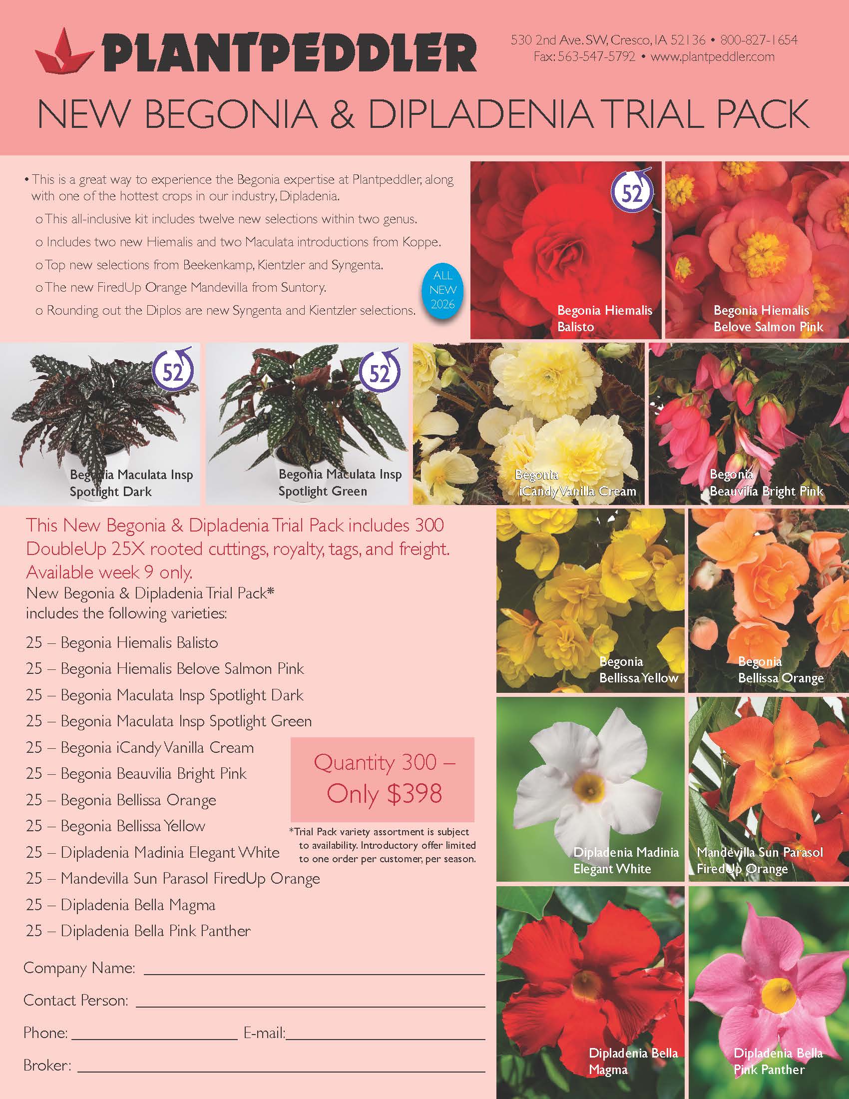 Plantpeddler Trial Pack: New Begonia and Dipladenia - Plant Material